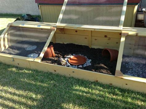 Awesome outdoor Tortoise enclosure! Safe from predators and the ...