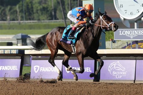 Fierceness favored in Florida Derby over Conquest Warrior, Hades | News | Kentucky Derby