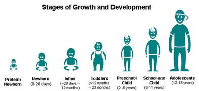 Stages - Child Development Timeline