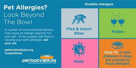 Pet Food Allergies - Pet Food Institute