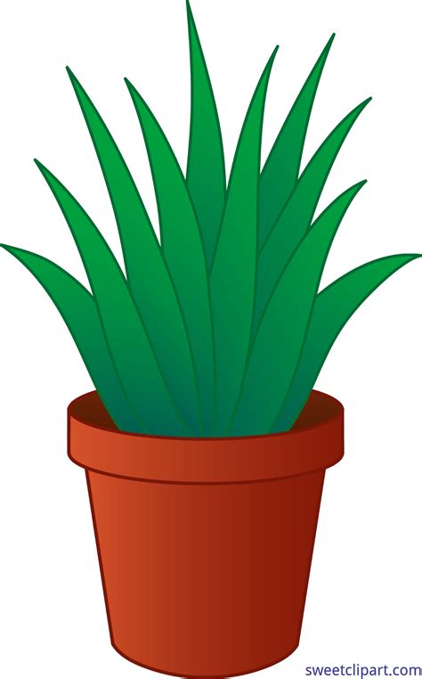 Flower Pot Clipart Images | Free download on ClipArtMag