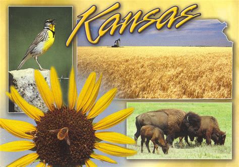 Kansas Map State Symbols Postcard | I'm Offering Tag from pa… | Flickr