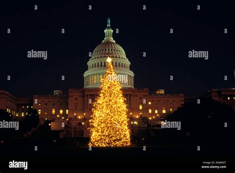 WASHINGTON DC CAPITOL BUILDING AND CHRISTMAS TREE Stock Photo - Alamy