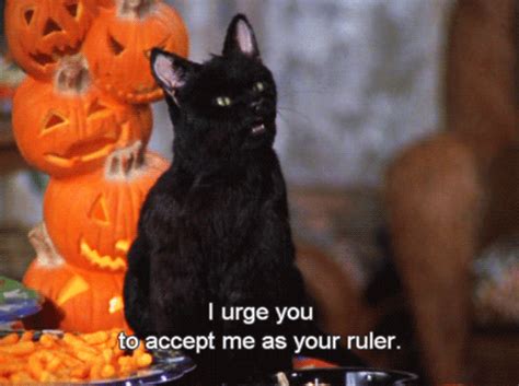 Salem Saberhagen gifs - Salem Saberhagen fan Art (38923769) - fanpop