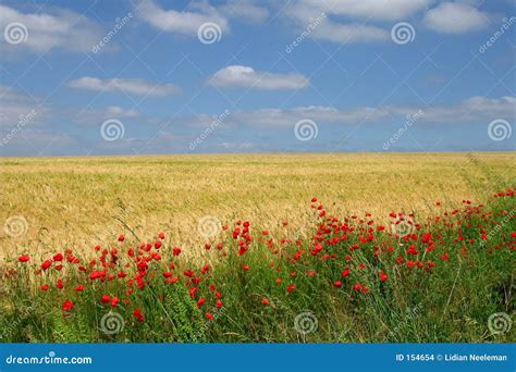 France Landscape Stock Images - Image: 154654