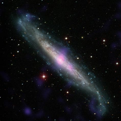 Galaxy Ngc 1448 Photograph by Science Source