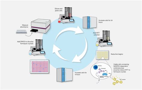 Top Instrument Considerations for an MTT Assay | Drug Discovery News