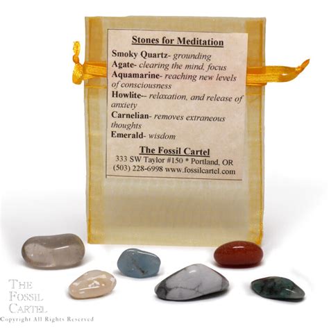 Stones for Meditation - The Fossil Cartel