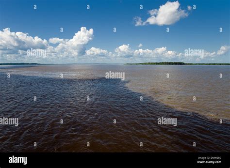 Meeting of Waters with Rio Negro and Amazon River, in the Amazon in Brazil Stock Photo - Alamy