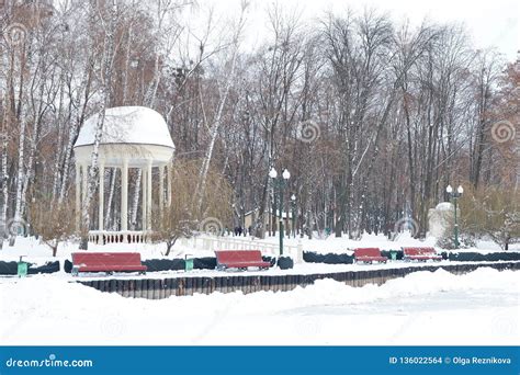 Snow in Park in Kharkiv - Winter in Ukraine Stock Photo - Image of european, amusement: 136022564