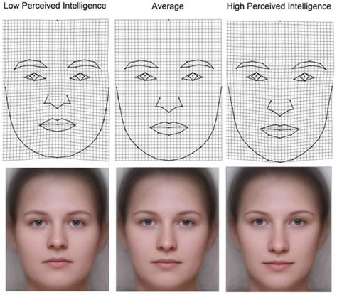 Do Smarter People Look More Intelligent? High IQ vs Low IQ Faces - PsyBlog