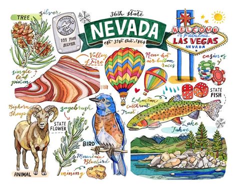 Nevada State Print. State Symbols. Illustration. State Art. - Etsy