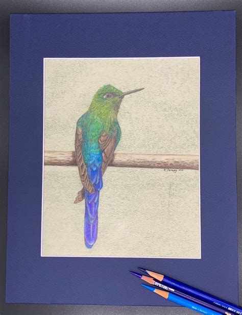 Original Hummingbird Colored Pencil Drawing Mounted and - Etsy | Hummingbird colors, Colored ...