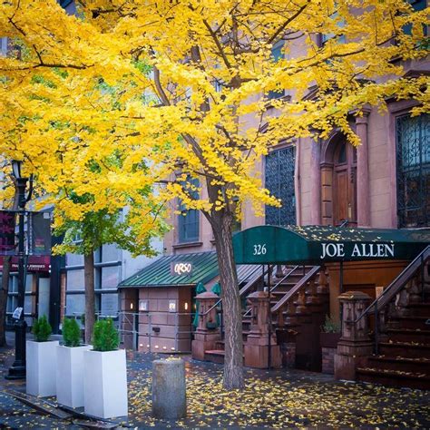 Joe Allen Restaurant | New York NY