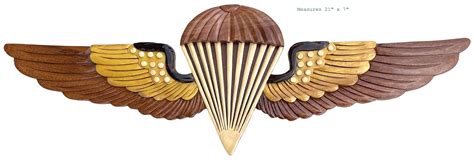 NAVY & MARINE CORPS Parachutist Insignia jump Wings - Etsy | Parachutist, Combat action badge ...