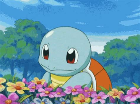 Pokemon Squirtle GIF - Pokemon Squirtle Flower - Discover & Share GIFs | Pokemon gif, Pokemon ...