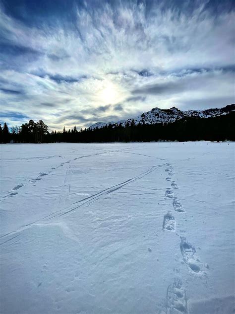 Spent some hours practicing Avalanche rescue techniques : r/tahoe