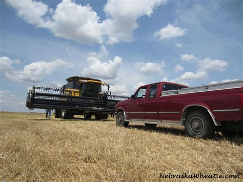 Guest Post: Custom Wheat Harvesting – Beef Runner