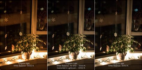 What is White Balance in Photography?