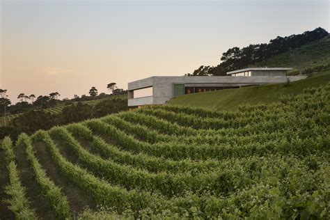 8 Awesome Wine Farms to Visit in Cape Town • Cape Town Luxury Escapes