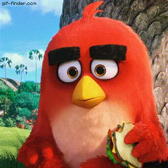 Animated Angry Birds Gif