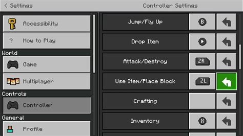 Nintendo Switch Settings and Controls! (Minecraft) - YouTube