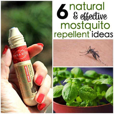 6 Natural Mosquito Repellent Ideas