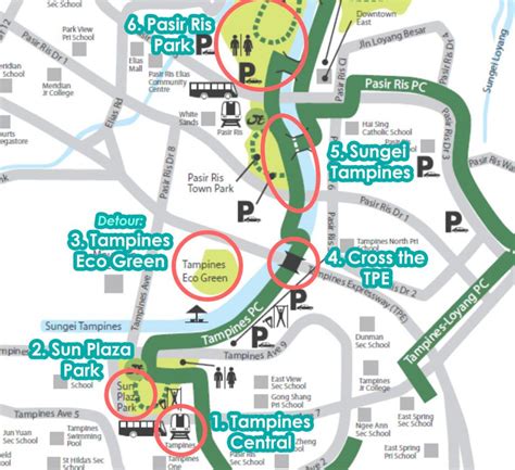 From Tampines to Pasir Ris: A Cycling Guide - Leposh Construction Pte Ltd