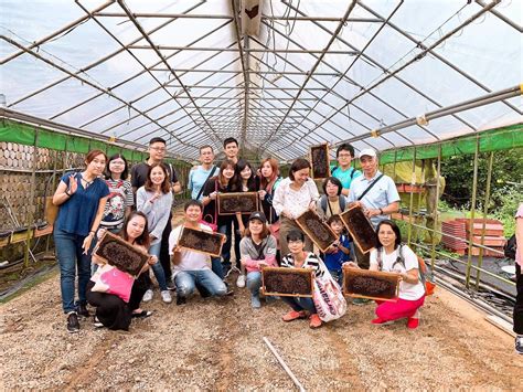 Taipei: Donglin Strawberry Farm｜July Flower Honey Season｜Honey Picking ...