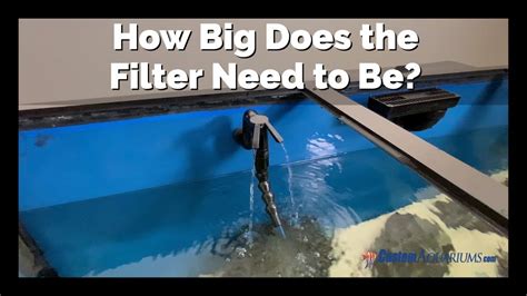 Flow Rate Through a Sump Filter - Custom Aquariums