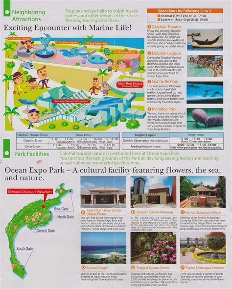 Moving To & Living in Okinawa, Japan: Okinawa Churaumi Aquarium / 오키나와 ...