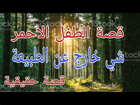 قصة رعب حقيقية 💥 عاشها صاحب القصة في غابات افريقيا 💥 هوا مصور اغلب وقتوا في الغابات - YouTube