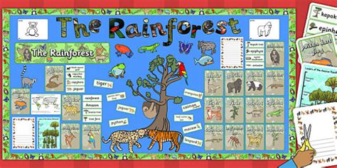 Animal adaptations in the rainforest | Teaching Wiki