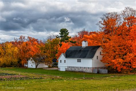 Create and Process Amazing Fall Nature Photography Images that Glow ...