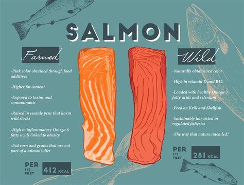 The Complex Relationship Between Wild and Farmed Salmon - NL Today