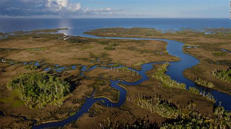 The Florida Wildlife Corridor is nearly 18 million acres of natural ...