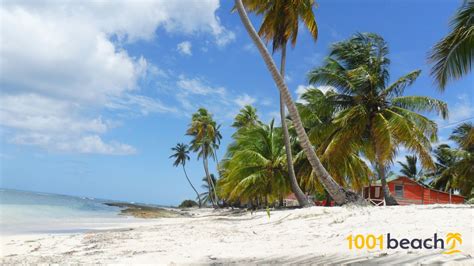 Playa Bayahibe