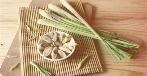 No Lemongrass? No Worries. Here Are the 7 Best Replacements