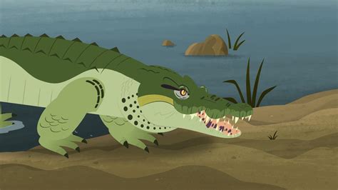 Wild Kratts Crocodile