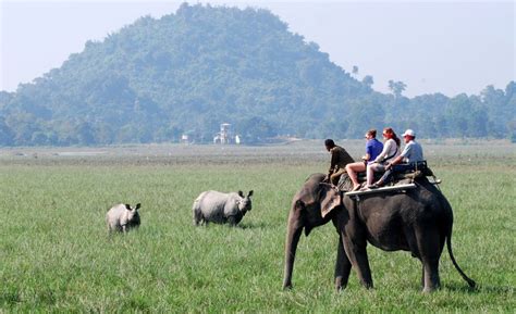 Assam wallpapers | Pobitora Wildlife Sanctuary | Elephant safari in ...