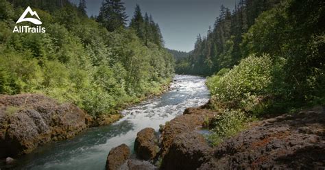 Best Trails near Estacada, Oregon | AllTrails