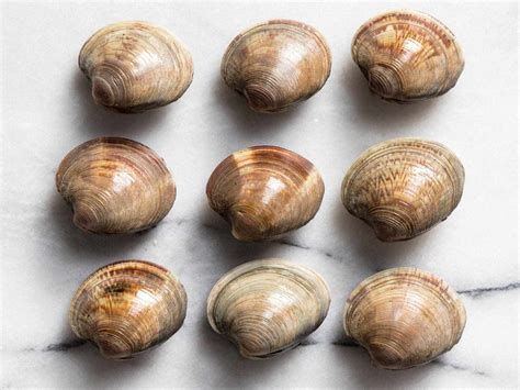 A Guide to Clam Types and What to Do With Them