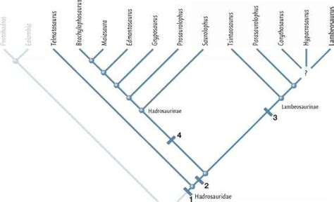 The evolution of Ornithopoda - Dinosaurs History - Prehistoric Life