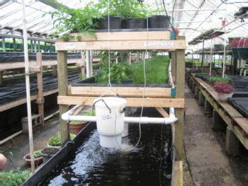 5.5 Mitigating Climate Change and Increased Food Security Through Aquaponics Systems Technology ...