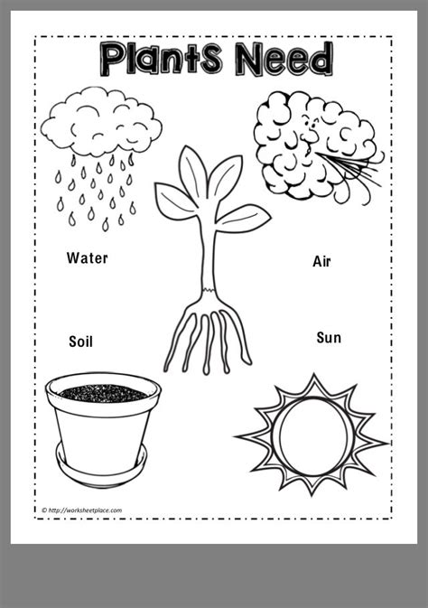 10++ Pre K Science Worksheets – Worksheets Decoomo