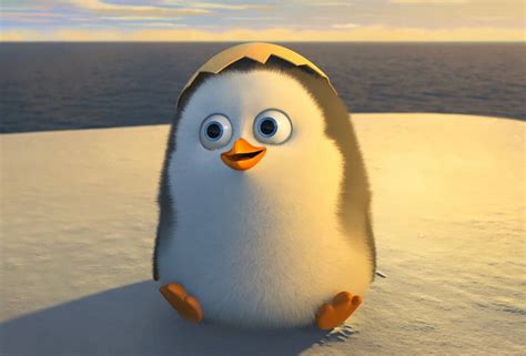 Download Baby Penguin Private Of Madagascar Wallpaper | Wallpapers.com