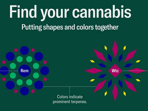 ‘Leafly Cannabis Guide’ uses data and design to help people better ...