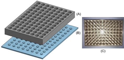 (A) The 3D printed bottomless 96-well plate fixed to (B) the glass ...