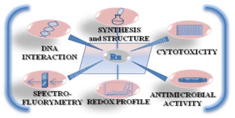 IJMS | Free Full-Text | Stimulation of Sulfonamides Antibacterial Drugs Activity as a Result of ...