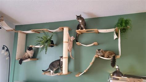 Our indoor jungle gym. The cats approve. : r/cats